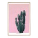 Cactus decorative Painting