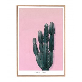 Peinture décorative Cactus