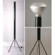 Luminator floor lamp