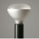 Luminator floor lamp