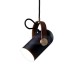 Suspension design Carronade