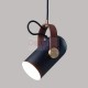 Suspension design Carronade