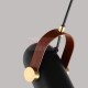Suspension design Carronade