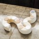 Flexible Expanding Paper bench seats 6p in white