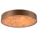 Suspension design Spiro