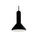 Torch light pendant lamp
