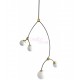 Suspension design Ivy Vertical 4 CTO