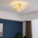 Lily Pad Round Glass Ceiling lamp