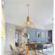 Sector Victo 4251 pendant lamp