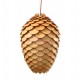 Suspension design Pinecone