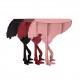 Diva ostrich console table