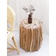 Rustic Natural Branch Wood Side Table
