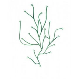 Paravents design Green algue by 50