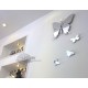 Butterfly clock