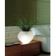 Biosfera table lamp