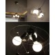 Suspension design Bella Donna