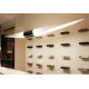 Suspension design Shakti Sky