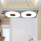 Suspension design Apollonia 2