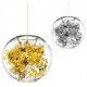 Tangle Globe design pendant lamp