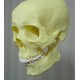 SUSPENSION design crâne