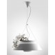 Suspension LED design Eden