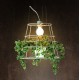 Suspension design cage plante