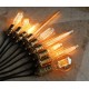 Edison Filament Light Bulb ST64
