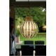 Suspension design Agave