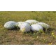 Collection Mercury design Rock cushion pouf set of 6pcs